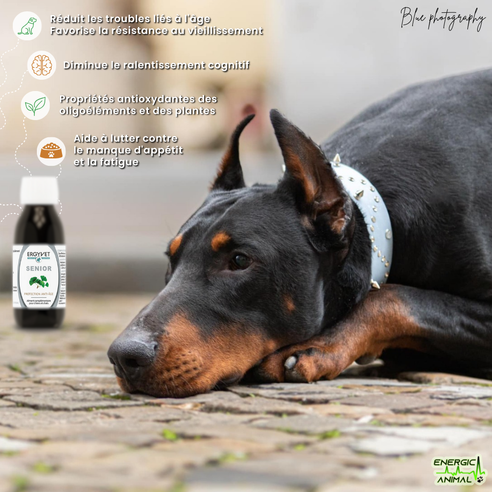 Sénior <small style="font-size: 75%; display: block;"><i>(Tonic - Anti-vieillissement - 100 ml)</i></small>