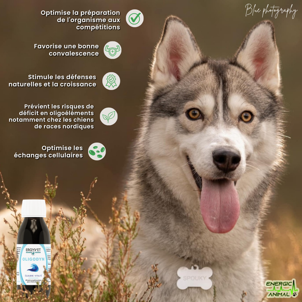 OLIGODYN <small style="font-size: 75%; display: block;"><i>(Oligo-éléments Essentiels - 100 ml)</i></small>