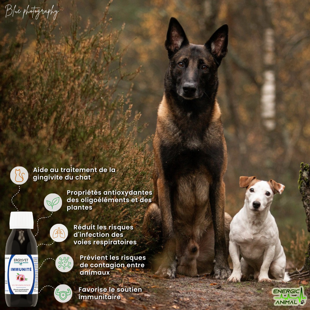 Immunité <small style="font-size: 75%; display: block;"><i>(Défenses naturelles - 100 ml)</i></small>