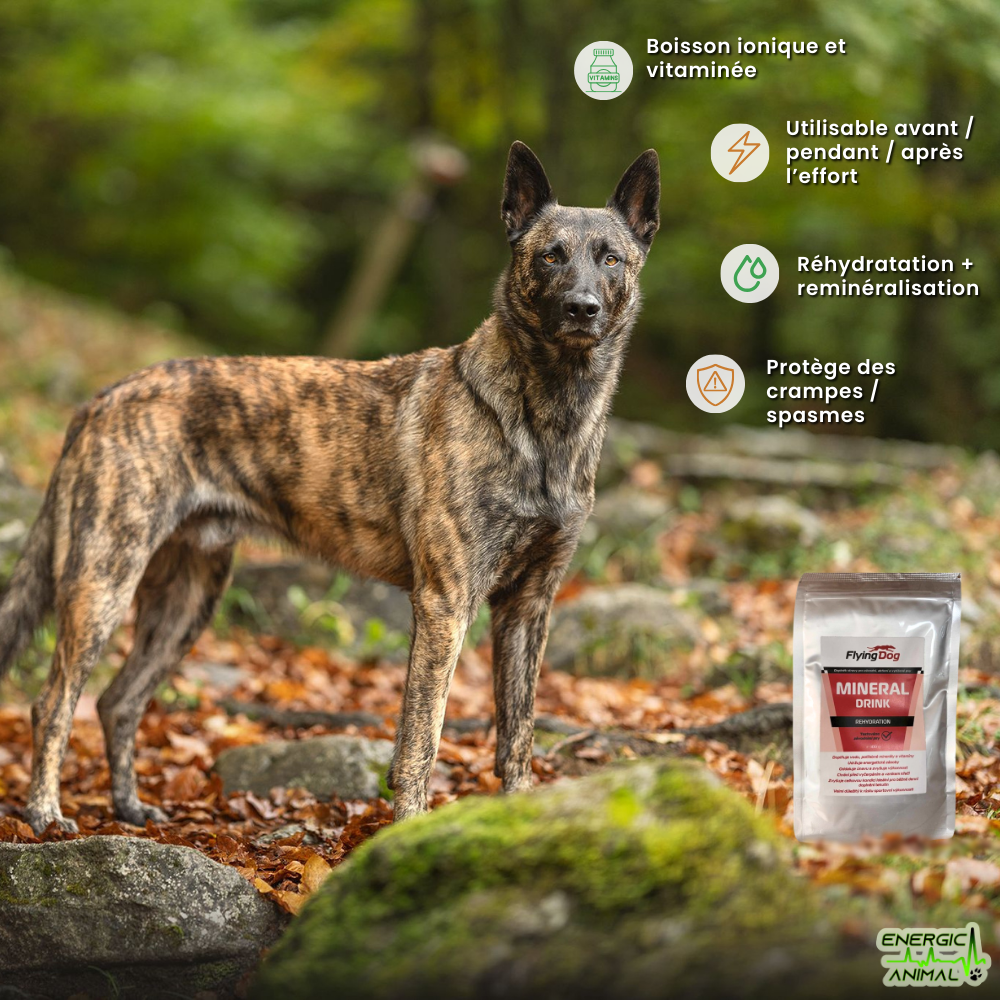 Mineral Drink Rehydratation