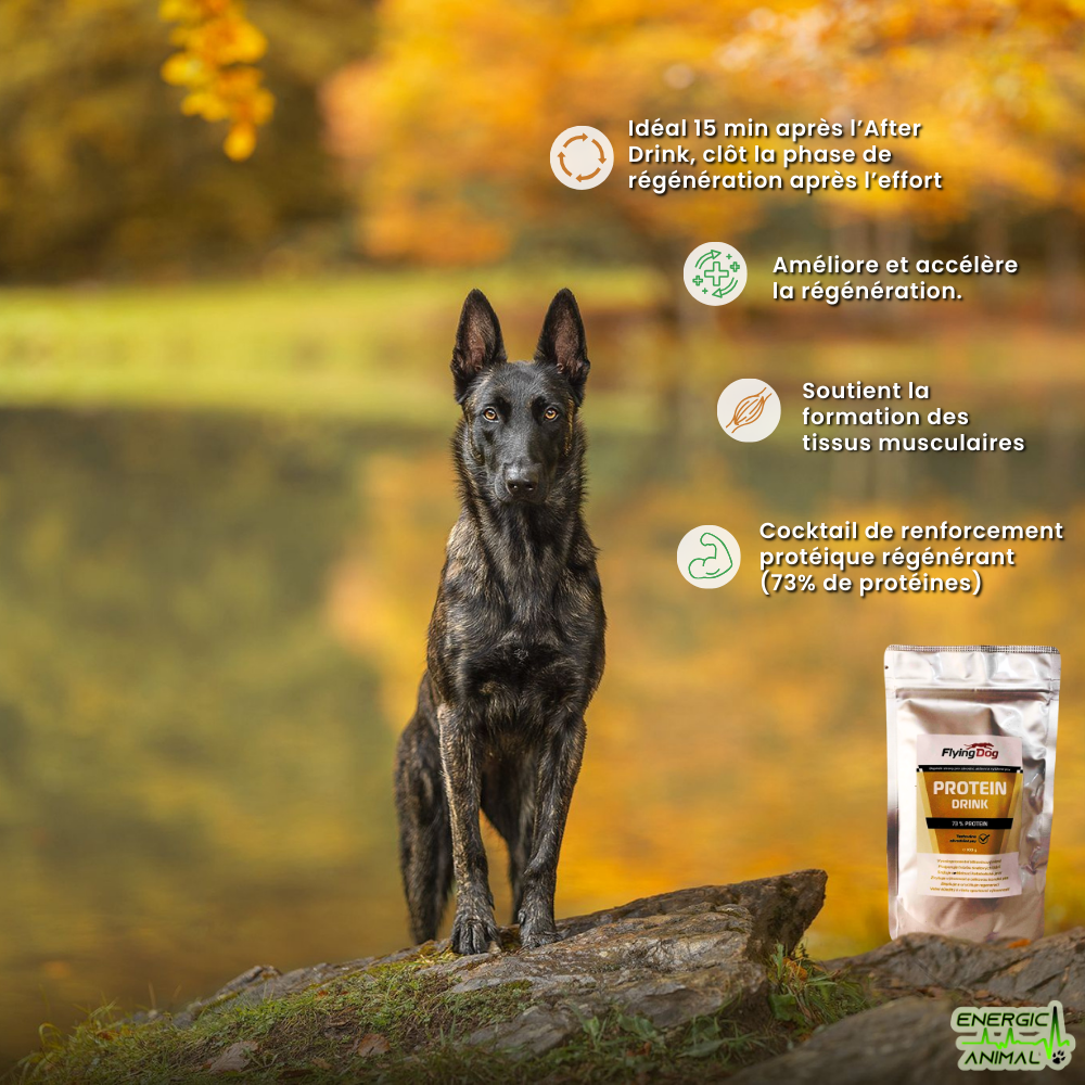 Protein Drink <small style="font-size: 75%; display: block;"><i>(Booster Protéiné - 100 gr)</i></small>