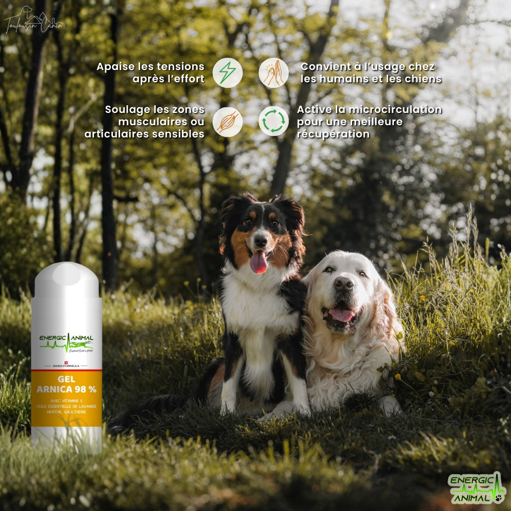 Gel ARNICA 98% - (100ml)