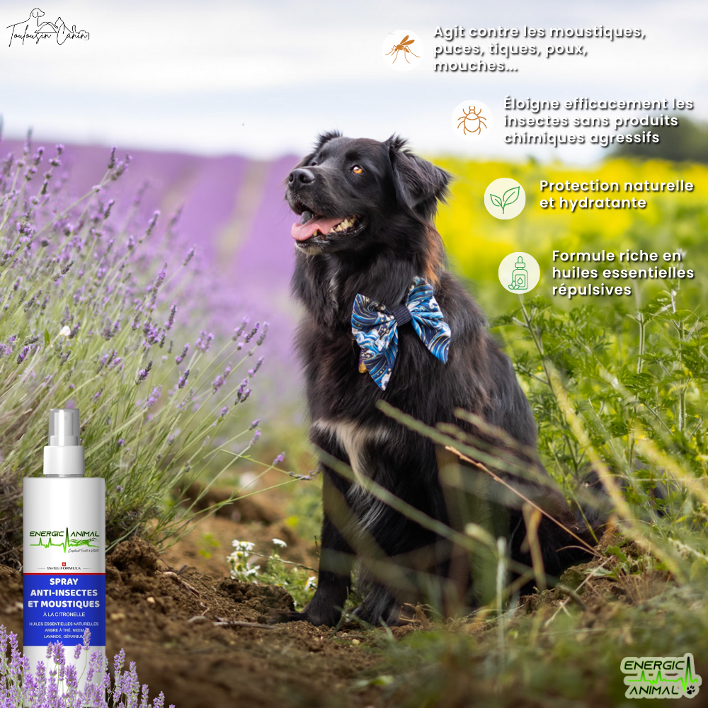 Spray Anti Insectes & Moustiques - (250ml)