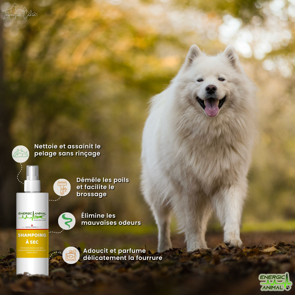 Shampooing lavage a sec - (250ml)