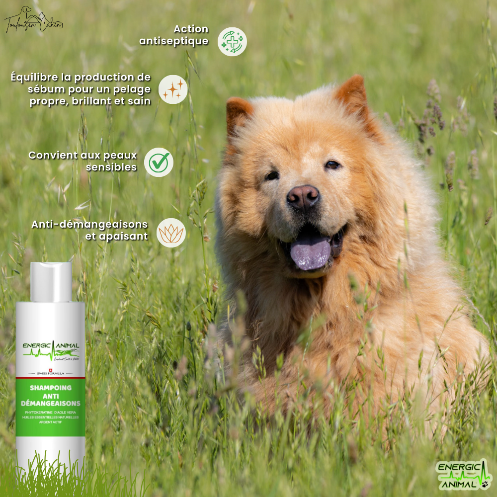 Shampooing Anti Démangeaisons - (250ml)