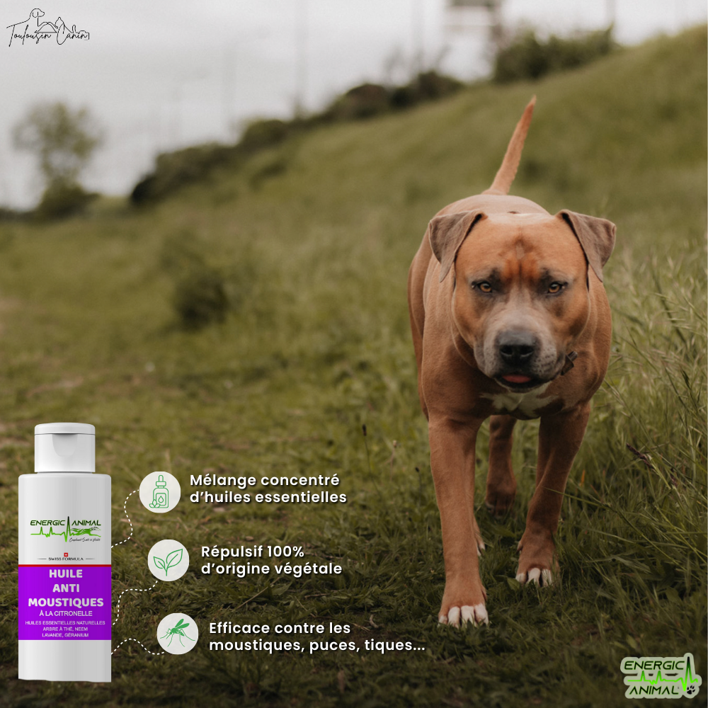 Huile Anti Moustiques - (100ml)