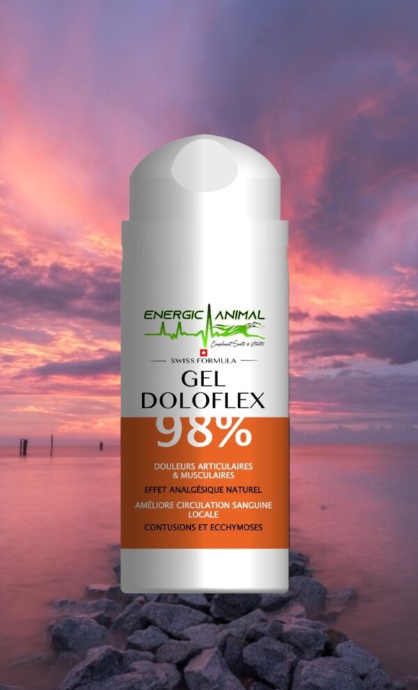 Gel DOLOFLEX 98 % (100ml)