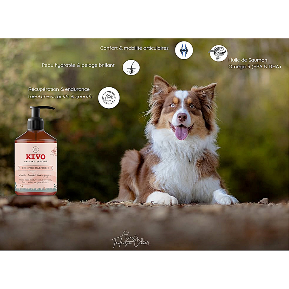 Huile de Saumon Écossais