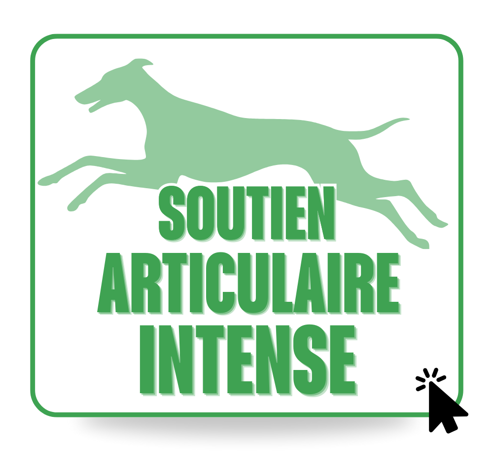 Soutien articulaire intense