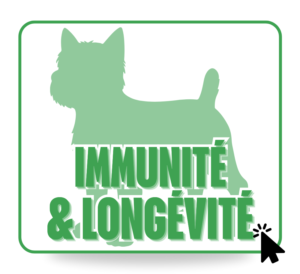 Immunité & Longévité