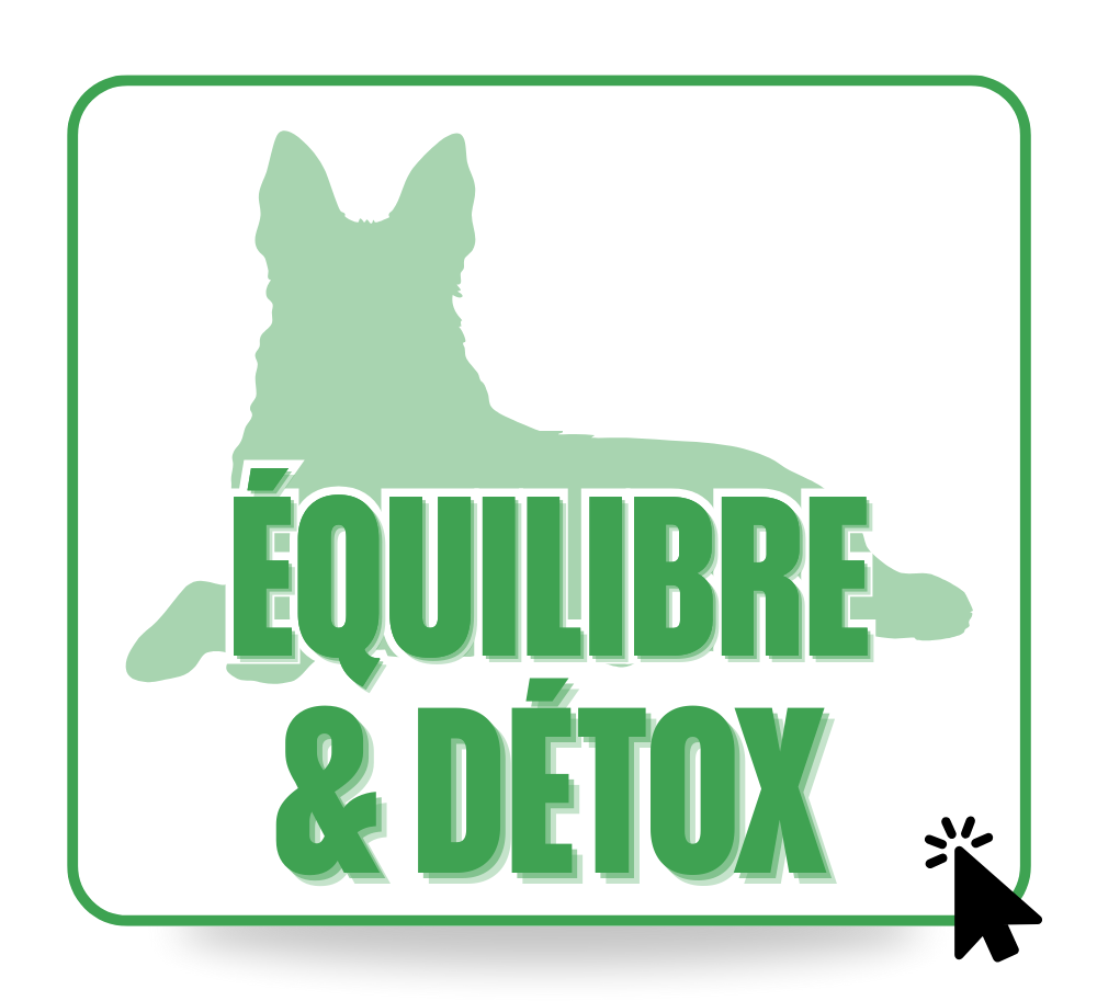 Équilibre & Détox