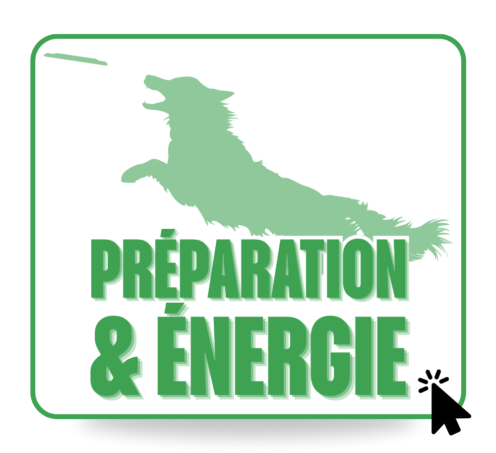 Préparation & Énergie