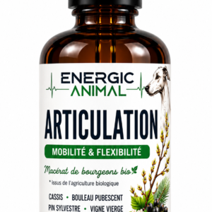 ARTICULATIONS