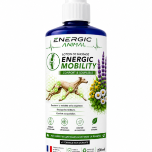 Energic MOBILITY