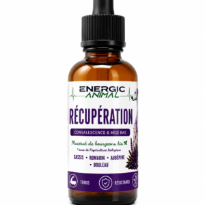 RECUPERATION & CONVALESCENCE