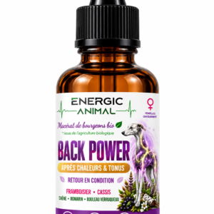 BACK POWER