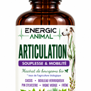 ARTICULATIONS