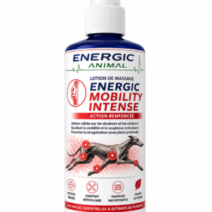 Energic MOBILITY INTENSE