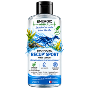 RECUP'SPORT SHAMPOOING